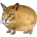 catato Discord Emoji