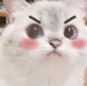 angy