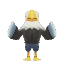 Apollo_Clap2