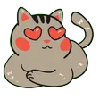 kitty5