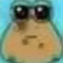 Pou