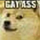gayass