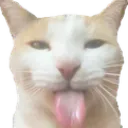 bleeh