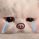 cryge