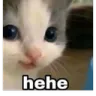 HeheCat
