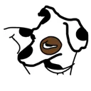 dalmation
