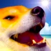 happyberk