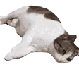 ayyybuDed