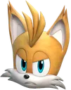 TailsNine TailsNine