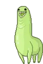 llama