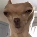 bruhtf