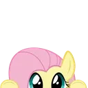 flutterpeek