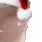xmascatjam