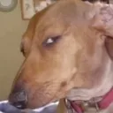 TakuacheHmm Discord Emoji