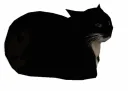 LowPolyCat