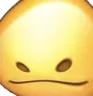 noggin