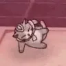 CanSpin