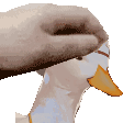 cofipat Discord emoji