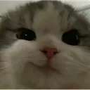 z_catsmirk Discord Emoji