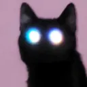 c_e_catstare