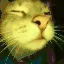 Acat_Rave Acat_Rave