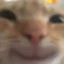 catofhappiness Discord Emoji