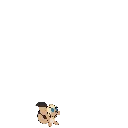 SMOL SMOL