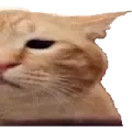 ur