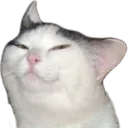 NarrowEyes