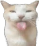 bleh