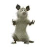 deadrat