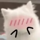 Catblush2 catblush2 Discord Emoji