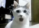 shocked