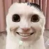 RobloxAbs RobloxAbs