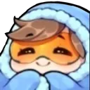TracerCozy