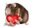 ratheart