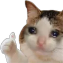 CatCry1 CatCry1