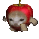 Cat Apple Discord Emoji