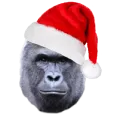 xmasmonke