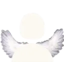 white_angel