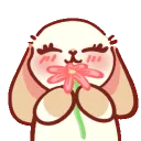 LomiFlower
