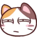 suscat