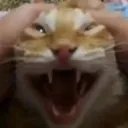 Webiwabo