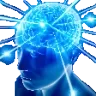 bigbrain