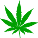 weedleaf2