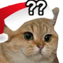 Catwhat catwhat Discord Emoji