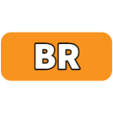 BR Discord emoji