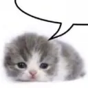 sillyimages