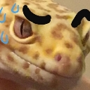 Gecko Discord emoji
