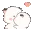 Pandakiss